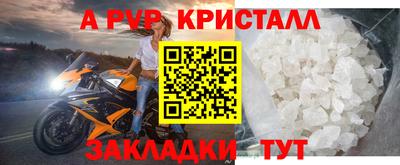 шишки Аргун