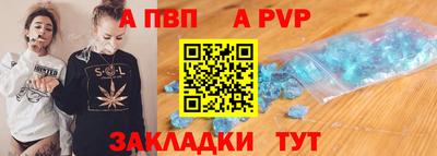 шишки Аргун
