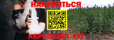 шишки Аргун