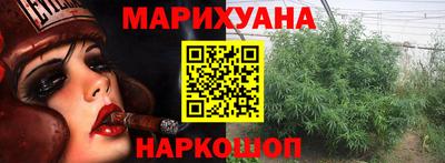 шишки Аргун