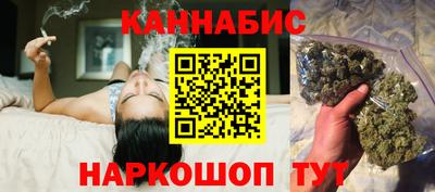 шишки Аргун
