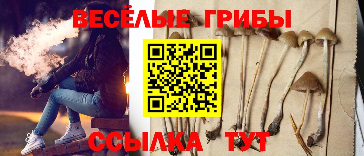 Апшеронск  Галлюциногенные грибы Psilocybine cubensis  Вход с VPN  Псилоцибиновые грибы Psilocybe 