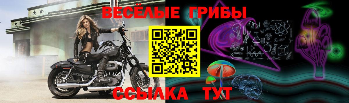 Псилоцибиновые грибы Magic Shrooms Апшеронск