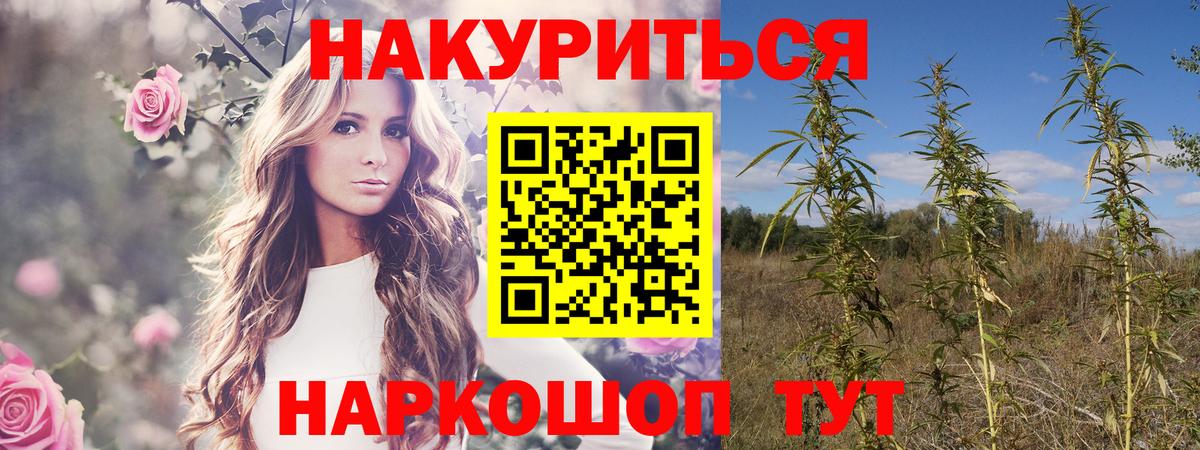 Конопля OG Kush  Вход с VPN  Бошки Шишки гибрид  Конопля марихуана  Апшеронск 